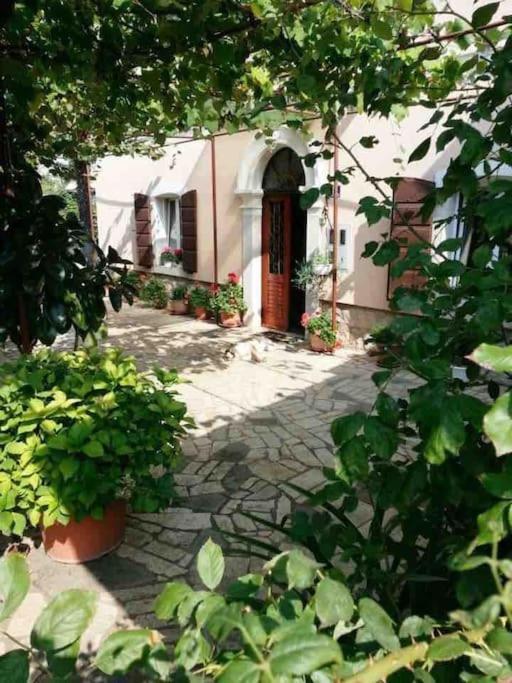 New Renovated Appartment Mauri Пореч Екстериор снимка
